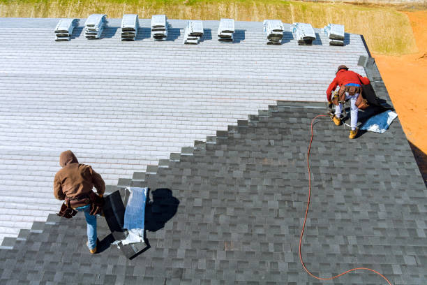 Best Shingle Roofing Installation  in Wayne, WV