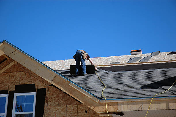 Best New Roof Installation  in Wayne, WV
