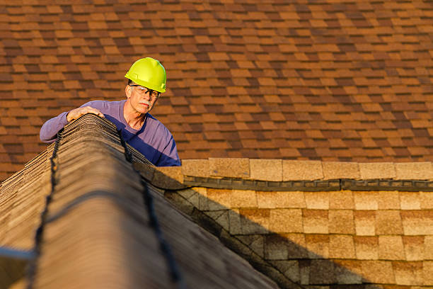 Best Roof Gutter Cleaning  in Wayne, WV